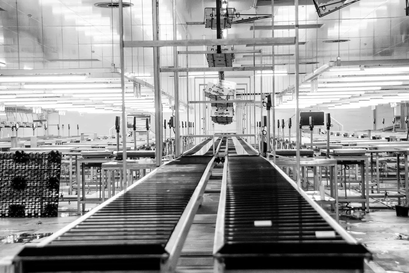A manufacturing facility with a long production line
